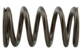Industrial Injection 95lb Upgraded Valve Springs - 24V — Cummins