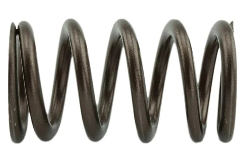 Industrial Injection 95lb Upgraded Valve Springs - 24V — Cummins