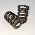 Hamilton Cams Competition Valve Springs