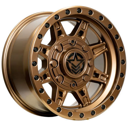 Anthem Off-Road Rogue 17x9 -12 (8x6.5)