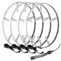 Oracle 4210-334 ColorSHIFT LED Wheel Ring Kit (Fits 18" Wheels & Smaller)
