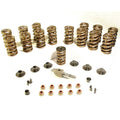 Hamilton Cams Competition Dual Valve Springs